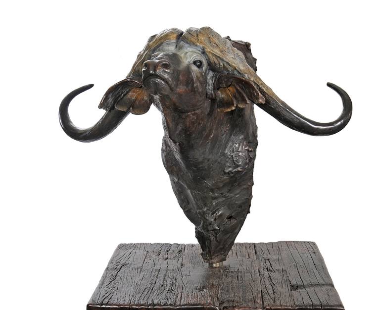 Life size buffalo bronze bust - Print