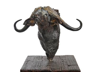 Life size buffalo bronze bust thumb