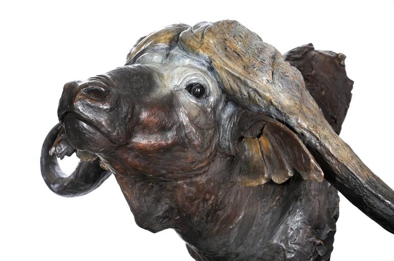 Original Realism Animal Sculpture by Michael Canadas
