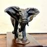 Charging Elephant