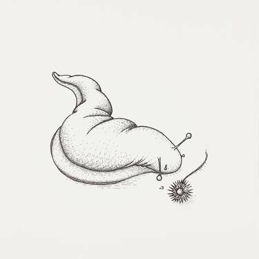 Original Figurative Animal Drawings by Lara Broecke