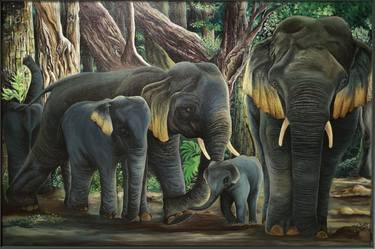 Original Animal Paintings by Nelum Rajapaksha