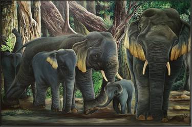 Original Fine Art Animal Paintings by Nelum Rajapaksha