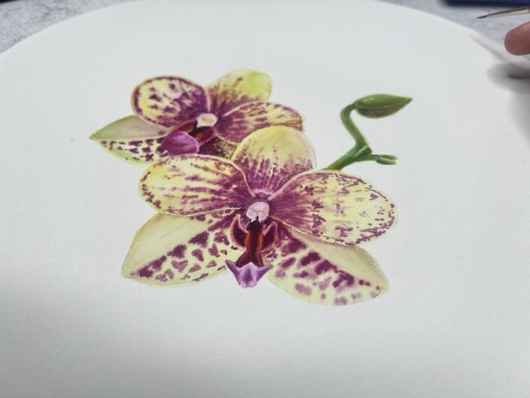 Original Contemporary Botanic Painting by Alisa Vovk