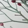 Macro
