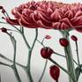 Macro