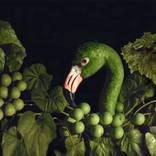 The Green Flamingo by Carl Moore