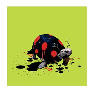 The Tortoise Who Wanted to be a Ladybird thumb