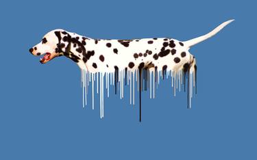 Dalmatian - Blue - Limited Edition 25 of 50 thumb