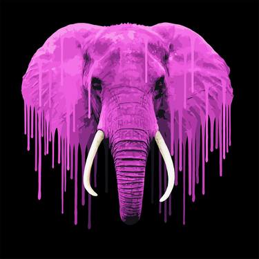 Pink Elephant - Limited Edition of 50 thumb