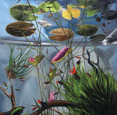 Original Fine Art Fish Paintings by Lauren Jade Szabo