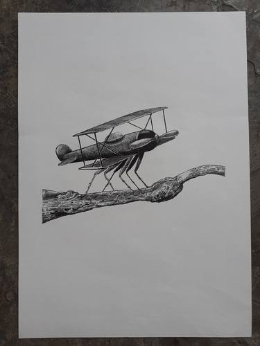 Original Expressionism Aeroplane Drawings by Muhammad Syafii Mainial
