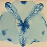 Collection Florals Inspired by Georgia O’Keeffe