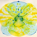 Collection Art for the Bathroom