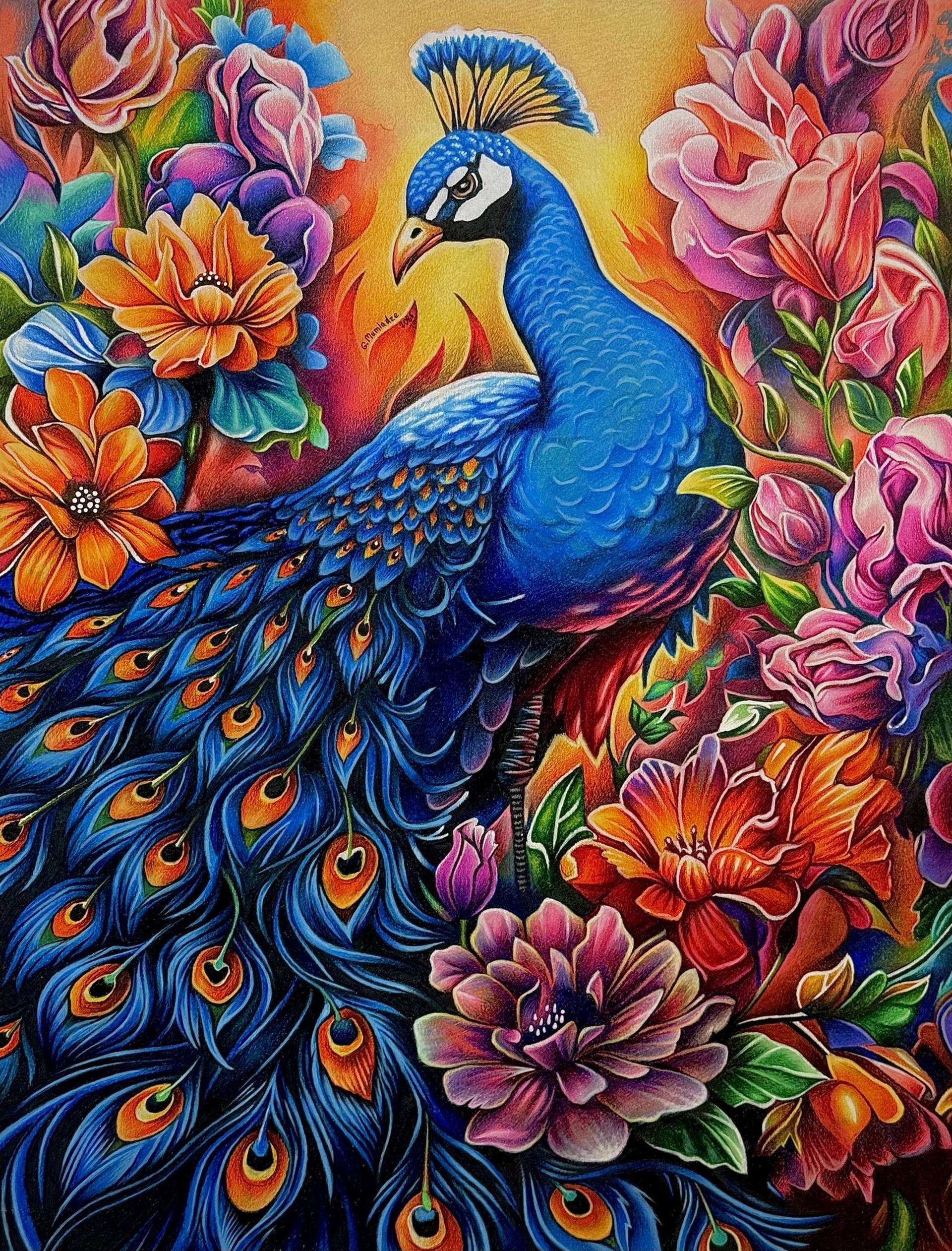 Peacock Drawing by Gigi Mumladze | Saatchi Art