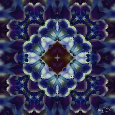 Original Abstract Expressionism Botanic Digital by Philippe Ceulemans