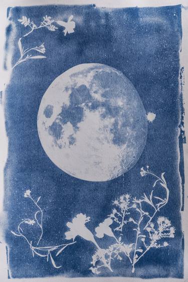 Harvest Moon no.1, Original Cyanotype thumb