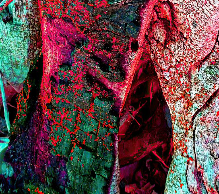 Original Contemporary Abstract Photography by Camille Bergeron Proulx
