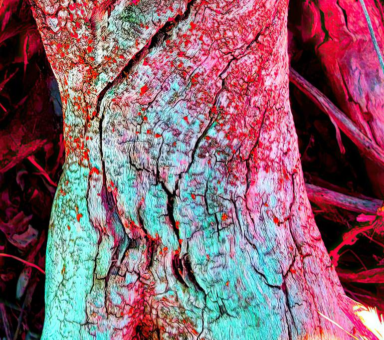 Original Contemporary Abstract Photography by Camille Bergeron Proulx