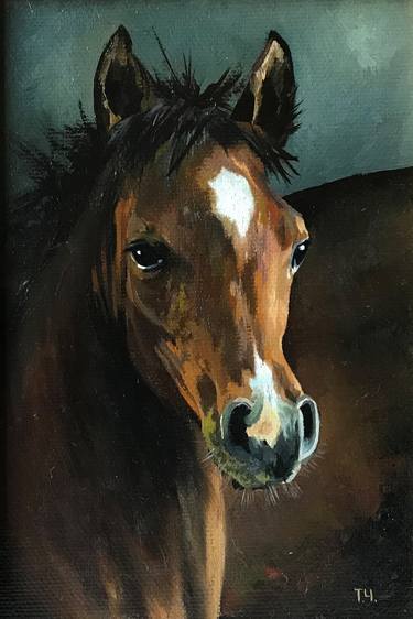 Original Fine Art Horse Paintings by Tatjana Cechun