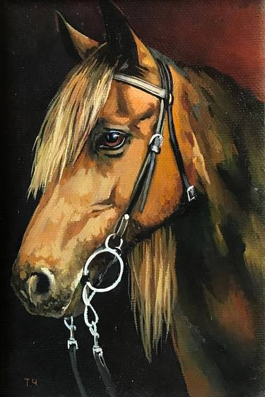 Original Horse Paintings by Tatjana Cechun