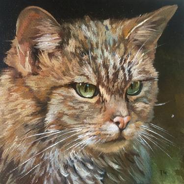 Original Cats Paintings by Tatjana Cechun