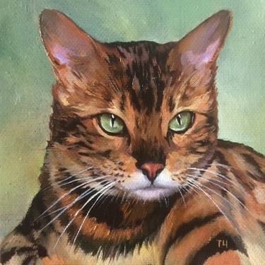 Original Fine Art Cats Paintings by Tatjana Cechun