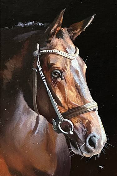 Original Fine Art Horse Paintings by Tatjana Cechun