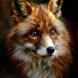 Oil painting. Portrait of a red fox. Fox. by Tatjana Cechun
