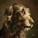 Irish Wolfhound by Tatjana Cechun
