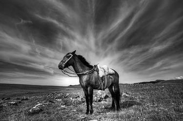 Original Conceptual Horse Photography by Luis Veiga