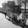 Collection The Fall of Berlin Wall 1989