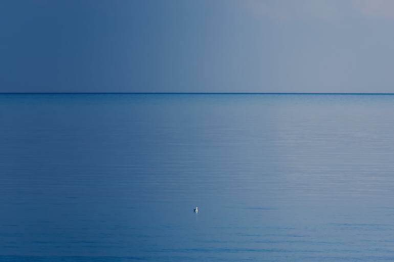 Original Seascape Photography by Constantine Palivakis | Minimalism Art on Paper | The "traveler" seagull
