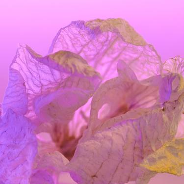 Original Abstract Floral Photography by Iryna Domashenko
