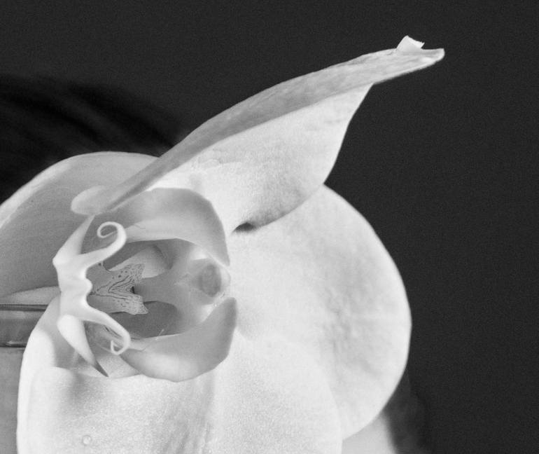 Original Black & White Women Photography by Xidong Luo
