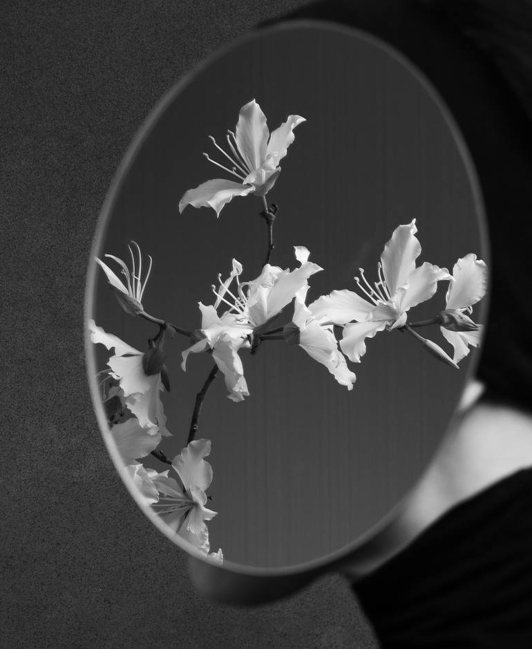 Original Black & White Floral Photography by xidong luo