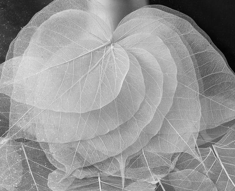 Original Conceptual Women Photography by Xidong Luo
