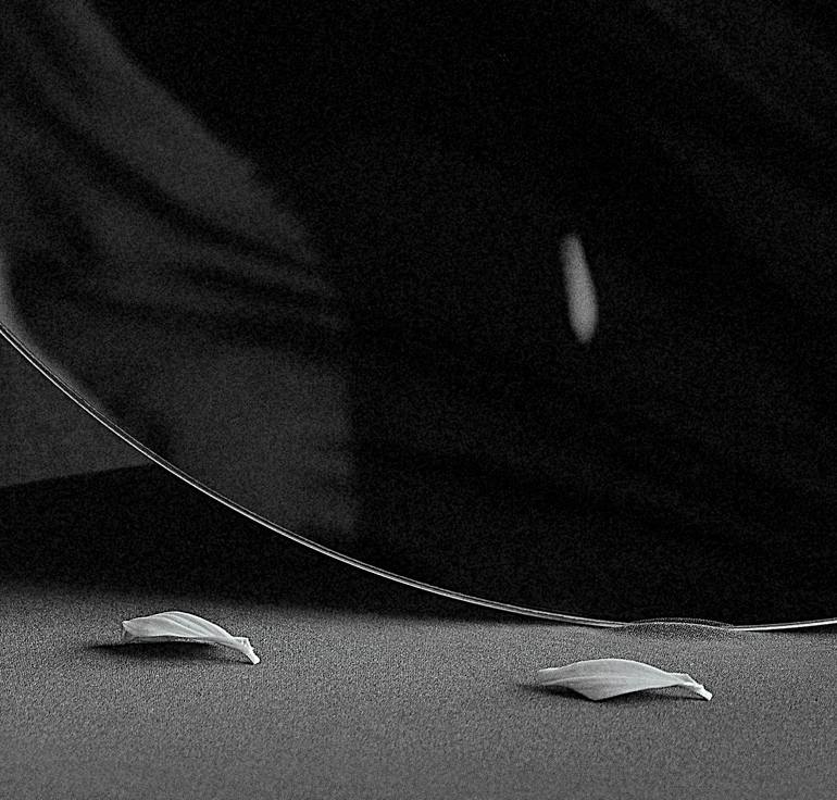 Original Conceptual Fantasy Photography by Xidong Luo