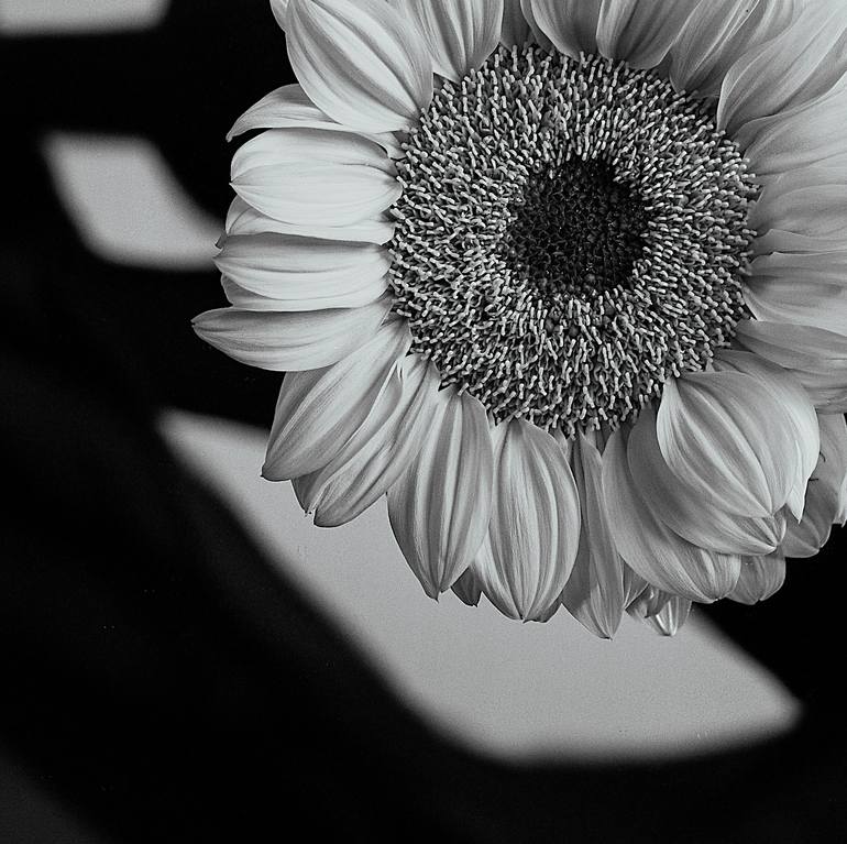 Original Conceptual Women Photography by Xidong Luo