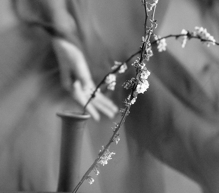 Original Conceptual Floral Photography by Xidong Luo