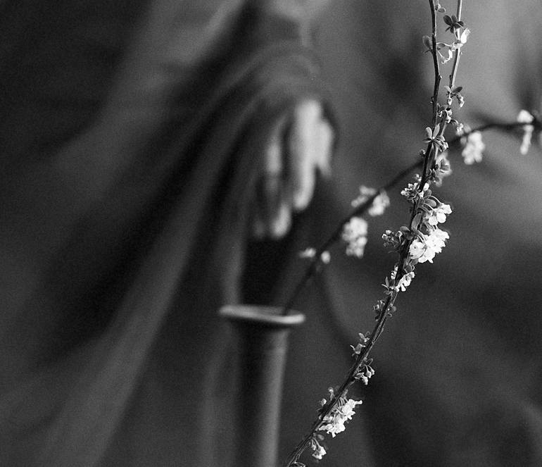 Original Conceptual Floral Photography by Xidong Luo