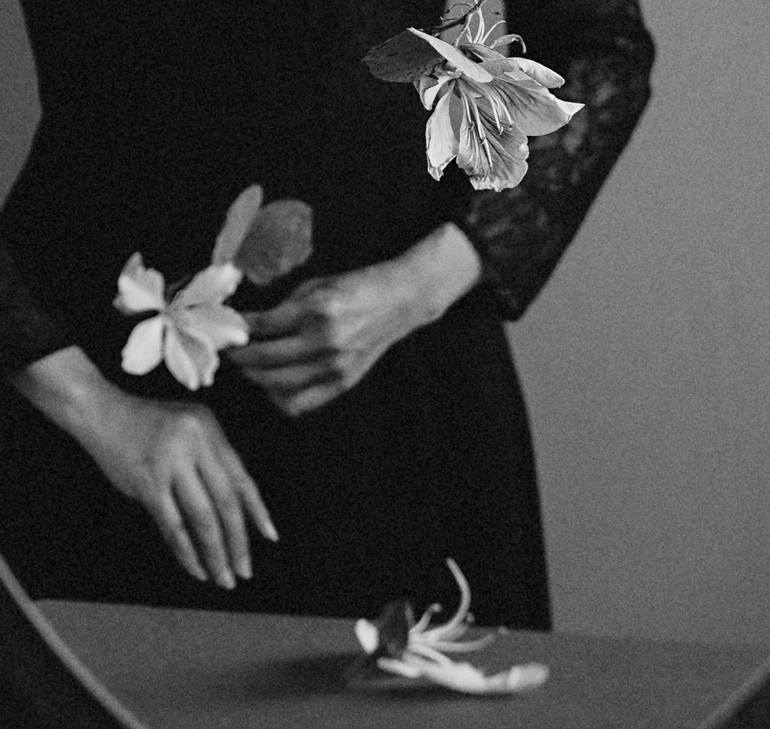 Original Conceptual Floral Photography by Xidong Luo
