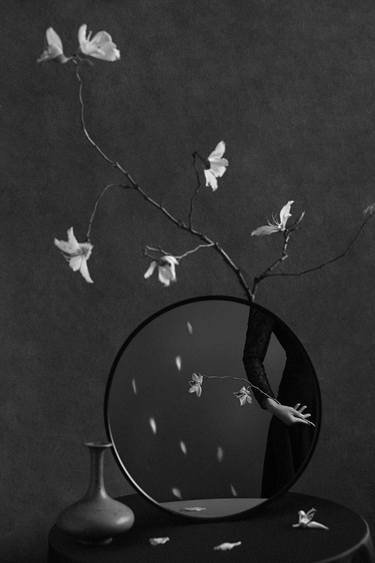 Original Conceptual Fantasy Photography by Xidong Luo