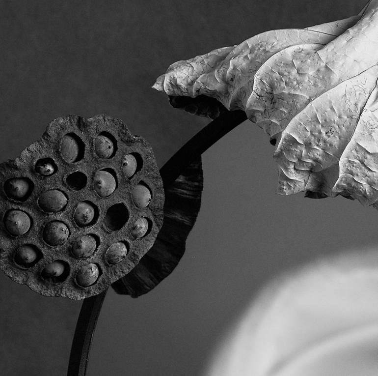 Original Conceptual Floral Photography by Xidong Luo