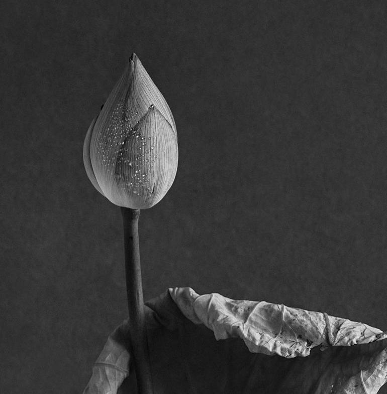 Original Conceptual Floral Photography by Xidong Luo