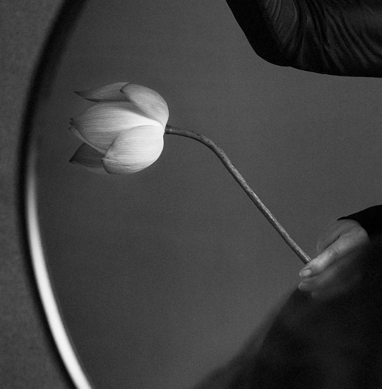 Original Conceptual Fantasy Photography by Xidong Luo
