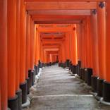 Fushimi-Inari  by Ignacio Rodrguez