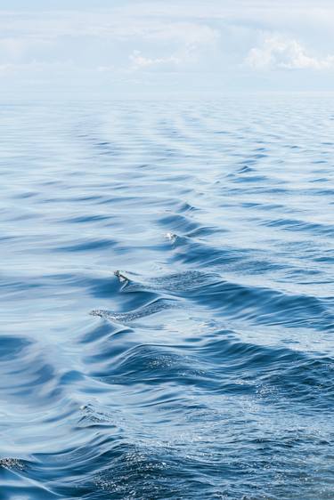 Salish Sea Serenity thumb