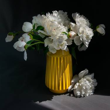 Print of Still Life Photography by Allison Kendall