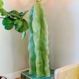Mermaid Cactus by Sydney Smith